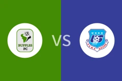 博尔古水牛vs索贝马比分预测分析 2025/12/21