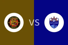 内湖公马女足vs狮城水手女足回放录像 2025/11/19