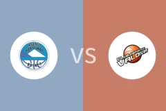 巴拉斯港vs华尔迪维亚比分预测分析 2025/11/16