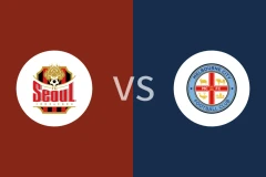 FC首尔vs墨尔本城回放录像 2025/12/10