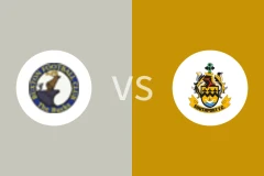 布顿vs南港队比分预测分析 2025/11/05