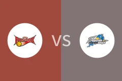 三远新凤凰vs岛根魔术比分预测分析 2025/12/07