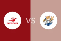 丰田羚羊女篮vs东京羽田酷猫女篮比分预测分析 2025/12/14