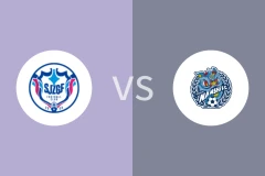 石家庄功夫vs佛山南狮回放录像 2025/06/29
