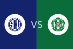 凡恩尼斯vs维拉维登斯比分预测分析 2025/11/02