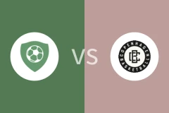 维耶vs哥本哈根比分预测分析 2025/11/23