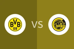 多特蒙德vs博德闪耀回放录像 2025/12/11