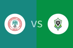 尼日利亚vs加蓬比分预测分析 2025/11/14