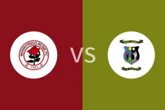 保尼玫瑰vs特兰特青年比分预测分析 2025/12/24