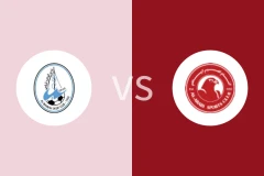 瓦卡拉vs阿拉比比分预测分析 2025/12/20