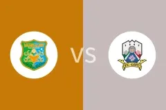 八户于南乡vsFC岐阜比分预测分析 2025/07/12