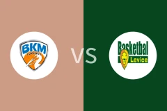 鲁西尼克vs莱维切比分预测分析 2025/11/06