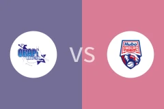 阿尔斯塔vs林堡比分预测分析 2025/12/27