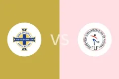 北爱尔兰vs卢森堡比分预测分析 2025/11/18