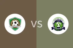 维希加联vs福琴萨科比分预测分析 2025/11/30