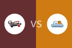 纽伦堡vs不来梅艾斯巴伦比分预测分析 2025/11/02