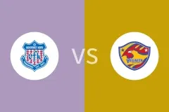 甲府风林vs仙台七夕比分预测分析 2025/04/29
