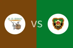 巴雷鲁女篮vs科英布罗斯女篮比分预测分析 2025/11/02