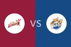 丰田阳光女篮vs东京羽田酷猫女篮比分预测分析 2025/12/27