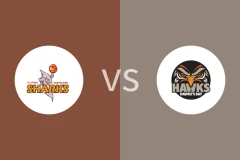 南部鲨鱼vs泰莱之鹰比分预测分析 2025/05/22