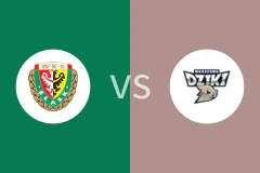 斯拉斯克vs华斯基比分预测分析 2025/12/24