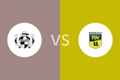 VFB希尔顿vsTSV梅尔布施比分预测分析 2025/09/14