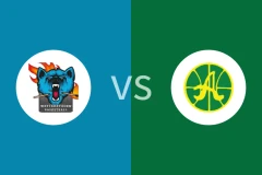 韦特vs艾维克比分预测分析 2025/12/20