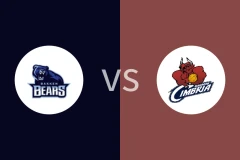 巴根熊vs兰达斯比分预测分析 2025/12/19