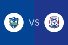 阿坝州队vs德阳队回放录像 2025/11/16