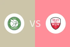 布雷流浪者vs条约联比分预测分析 2025/11/02