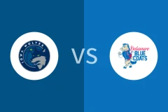 爱荷华狼队vs特拉华蓝衫比分预测分析 2025/12/30