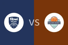 菲布维帕尔马vs帕尔默比分预测分析 2025/12/28