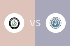 农夫队vs布赛廷比分预测分析 2025/11/03