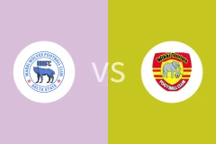 瓦里狼vs维克吉比分预测分析 2025/12/28