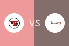 韦尔斯飞人vs葛姆登天鹅比分预测分析 2025/12/27