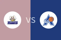 斯文堡格vs阿玛格比分预测分析 2025/11/23