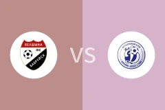 伯希纳女足vs比斯特迪纳摩女足比分预测分析 2025/11/21