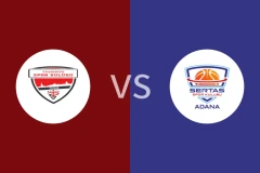 特斯维基亚vs塞尔塔斯斯波尔比分预测分析 2025/11/15