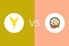 四川青年竞技vs重庆高新猛虎回放录像 2025/05/25