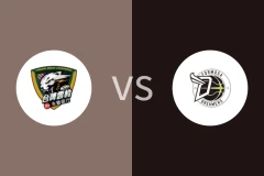 台啤永丰云豹vs宝岛梦想家比分预测分析 2025/12/07