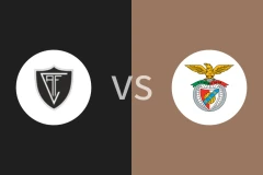 维塞乌vs本菲卡B队比分预测分析 2025/12/28