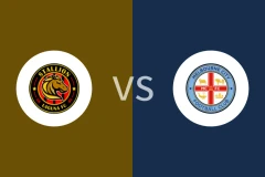 内湖公马女足vs墨尔本城女足回放录像 2025/11/16