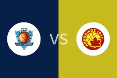 基安尼纳女篮vs阿辛奈女篮比分预测分析 2025/11/23