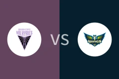 女武神vs飞翼回放录像 2025/06/18