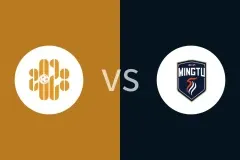 深圳二零二八vs广东铭途回放录像 2025/06/01