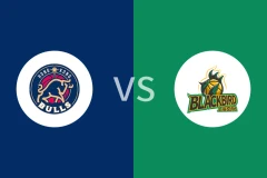 香港金牛vs上海玄鸟回放录像 2025/12/24