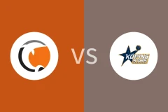 诺科平海豚vs科平星比分预测分析 2025/12/14