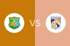 八户于南乡vs宫崎棒牛鸟比分预测分析 2025/07/05