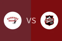 哈丁格vs阿罗斯比分预测分析 2025/12/20