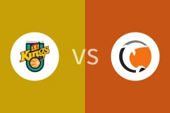 南泰利耶国王vs诺科平海豚比分预测分析 2025/11/05